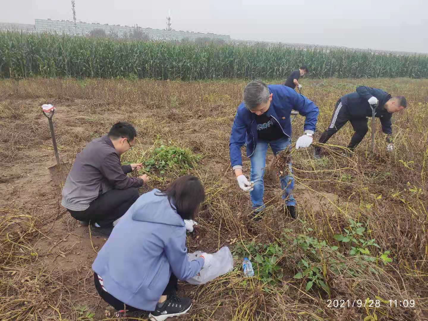 亚洲AV永久无码精品三区在线4